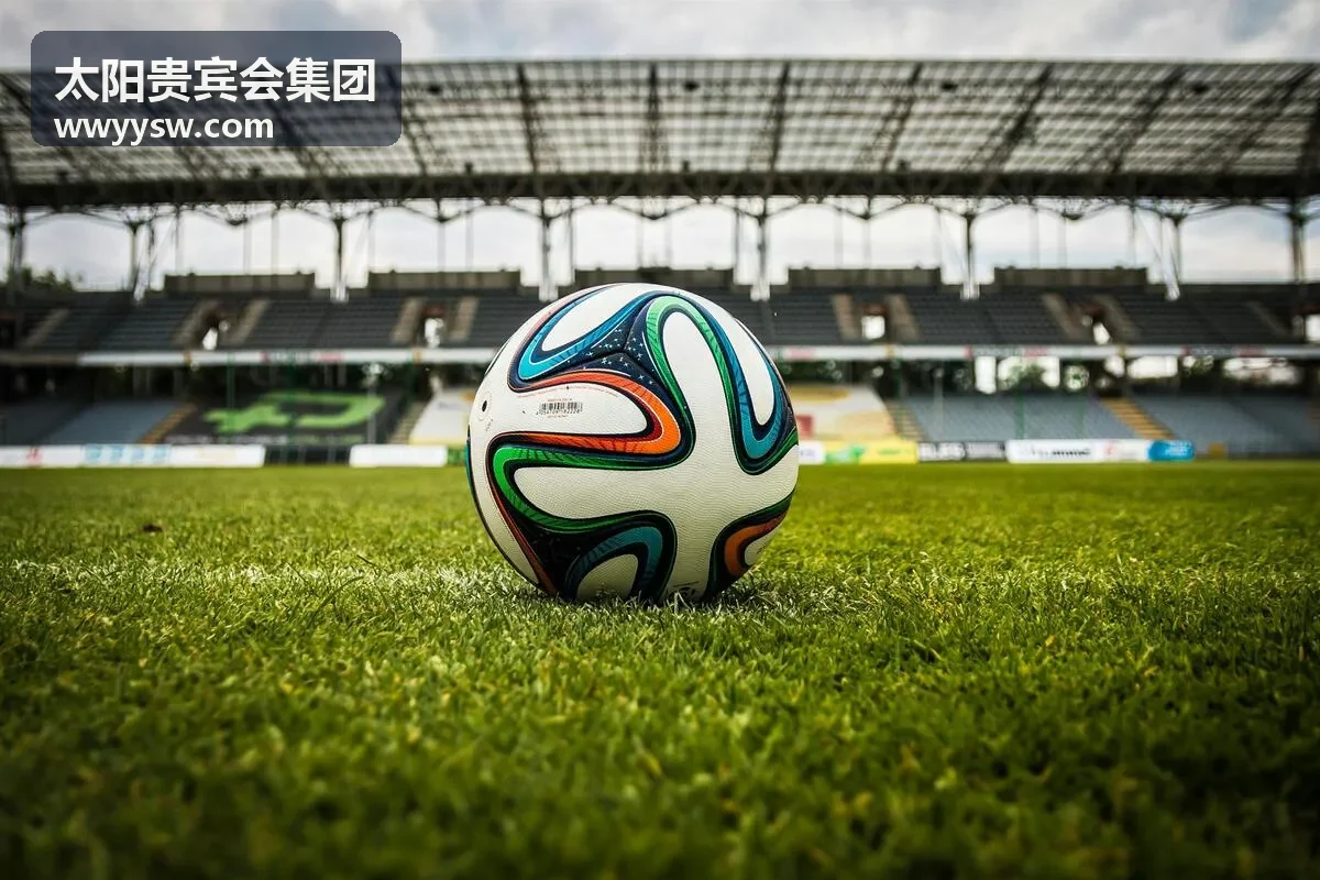 太阳贵宾会集团战略咨询