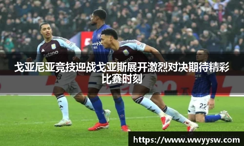 NG体育官方网站